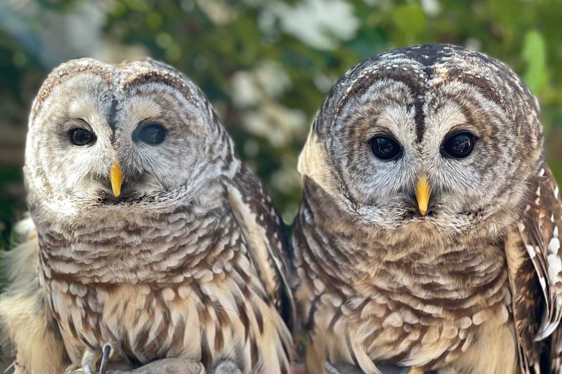 chimney rock photo 5