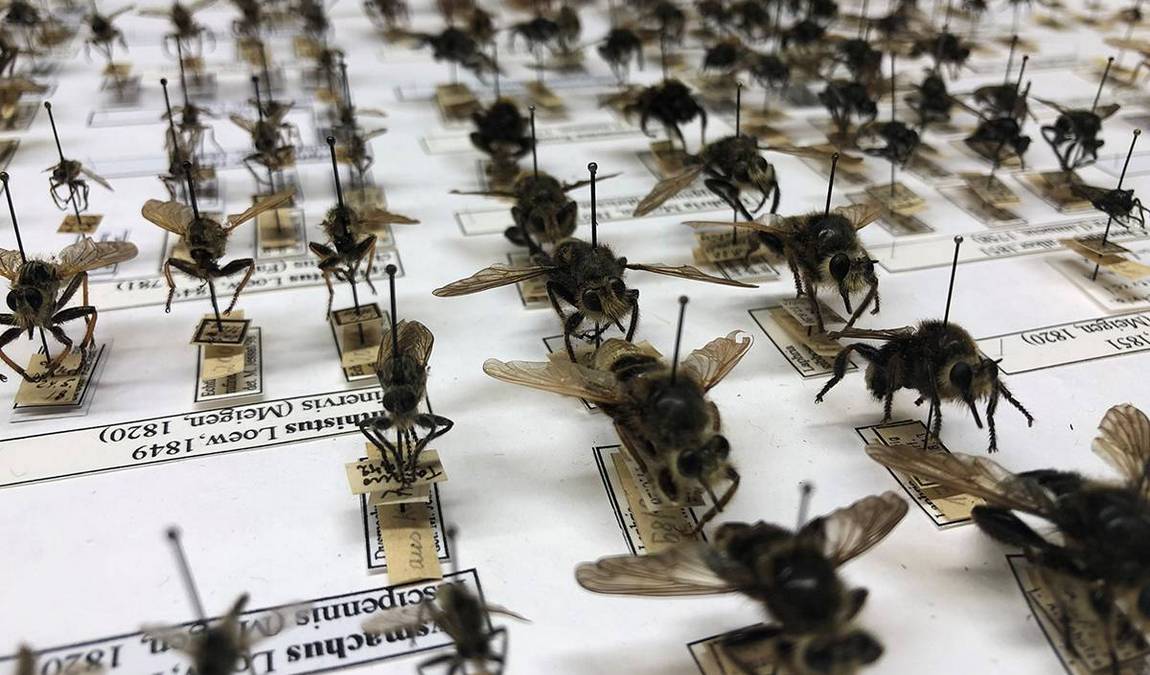 natural history museum photo 4