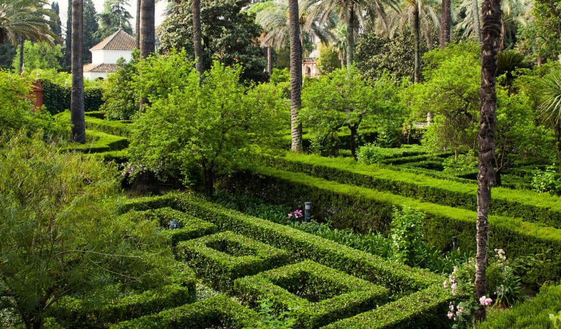 murillo gardens photo 6