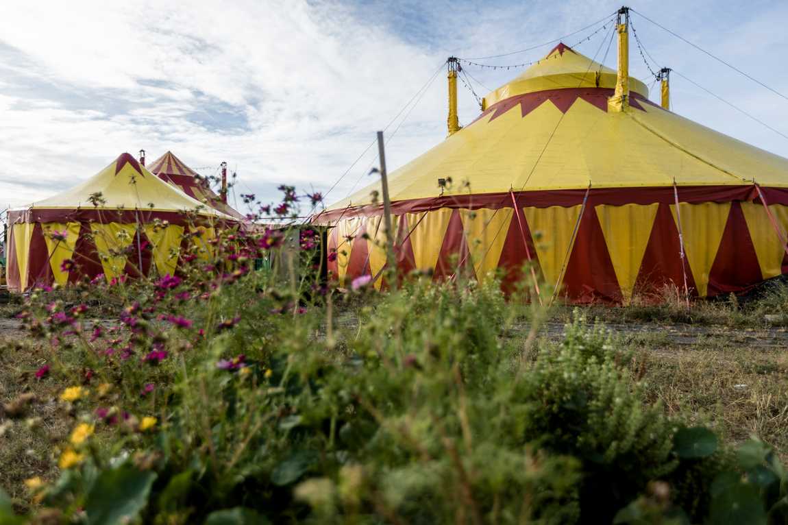 cabuwazi circus photo 2