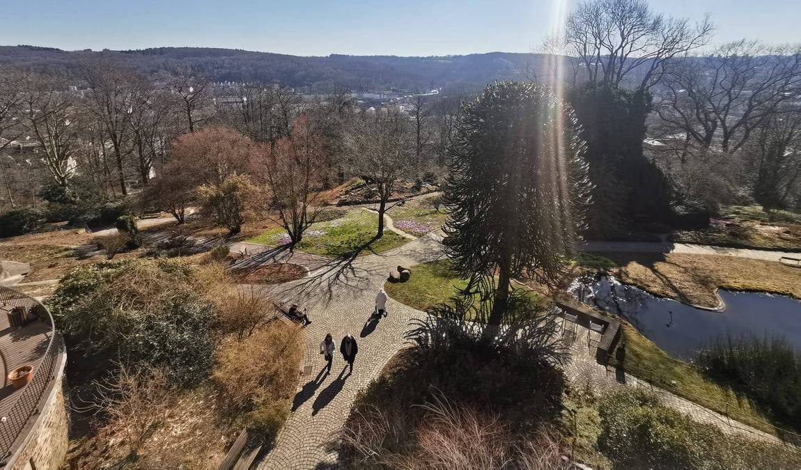 botanical garden photo 5