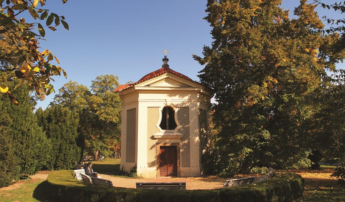 vojan gardens photo 4