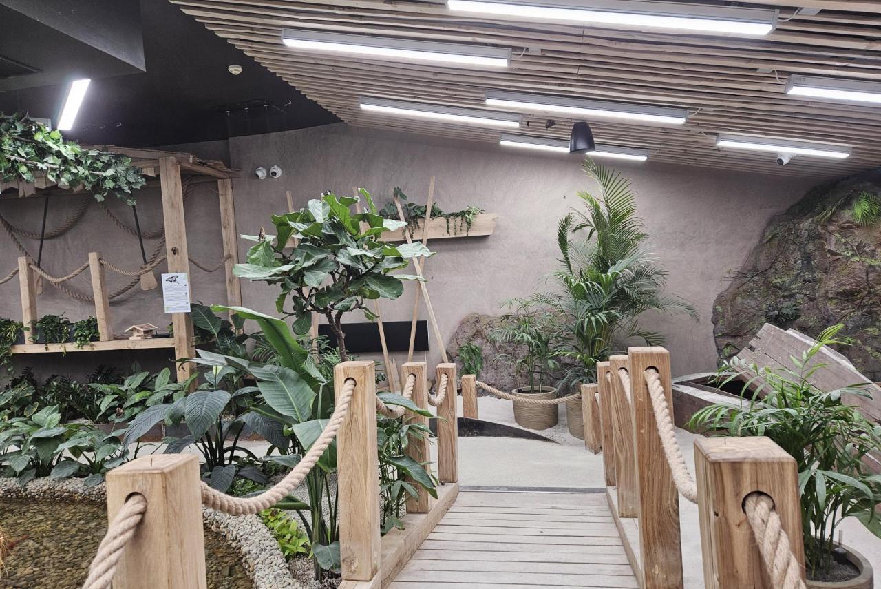 papilonia ostrava photo 2