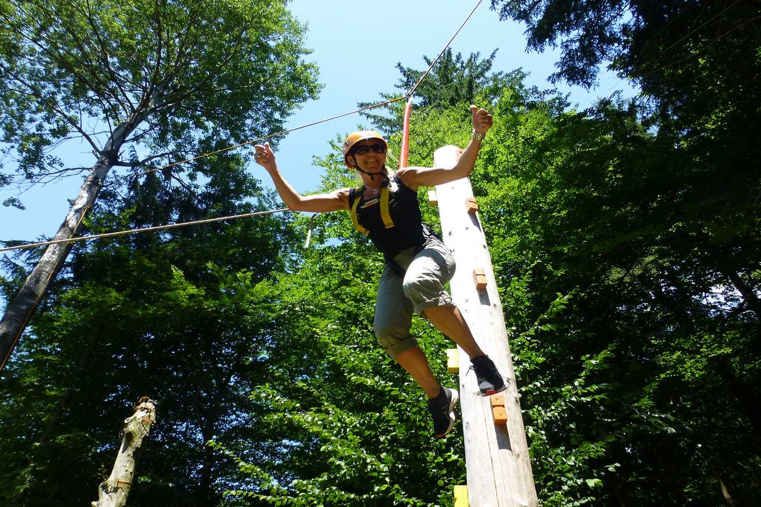 adventure park graz photo 1