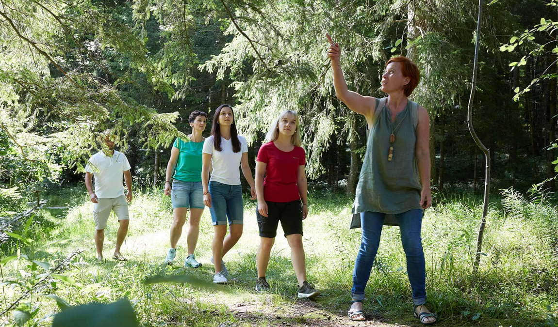 attersee-traunsee nature park photo 3