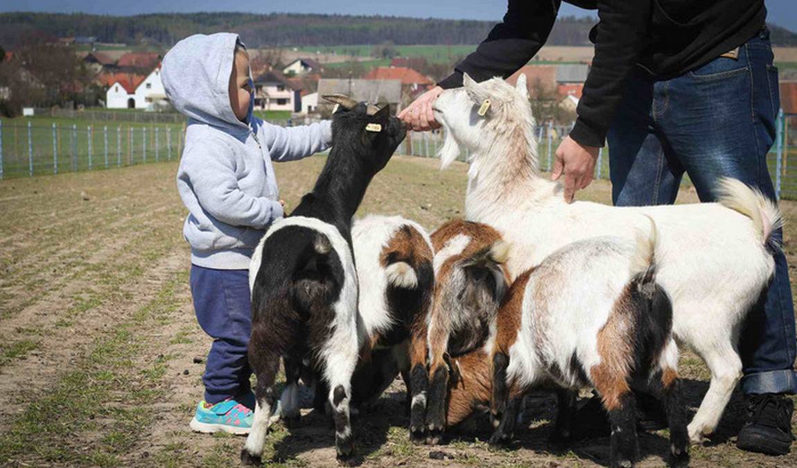 statek u merlina photo 4