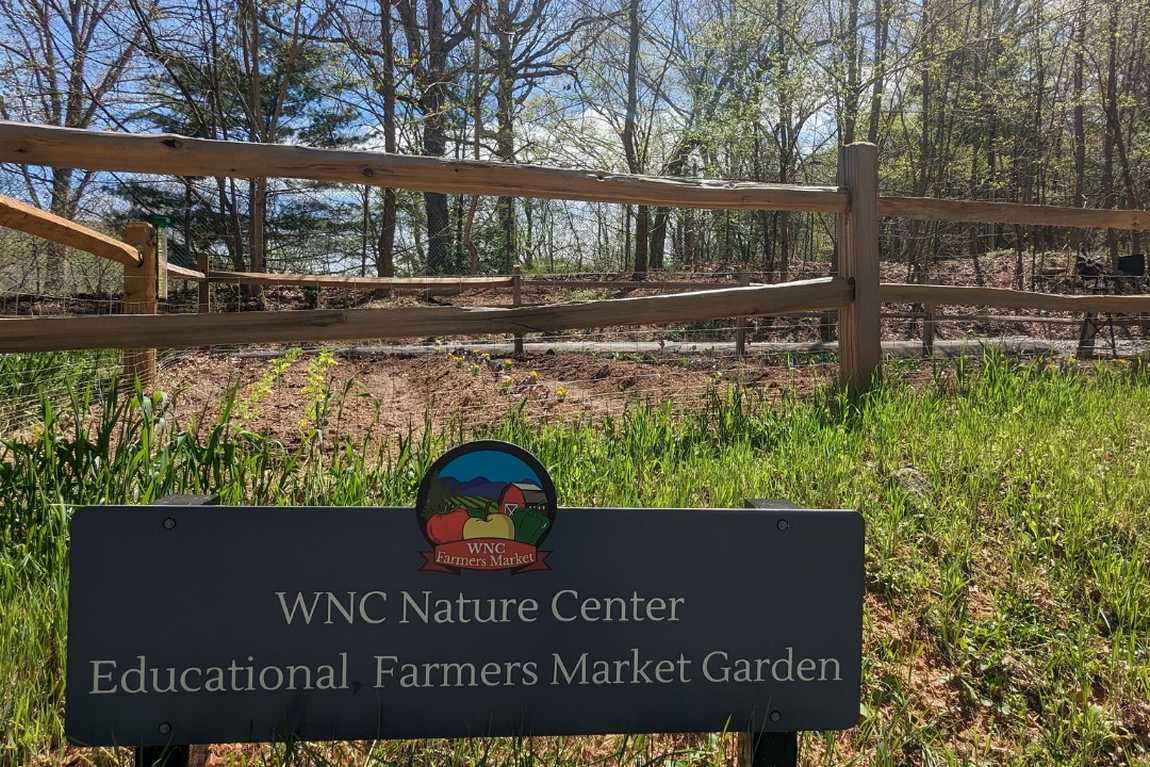 wnc nature center and wildlife park photo 1
