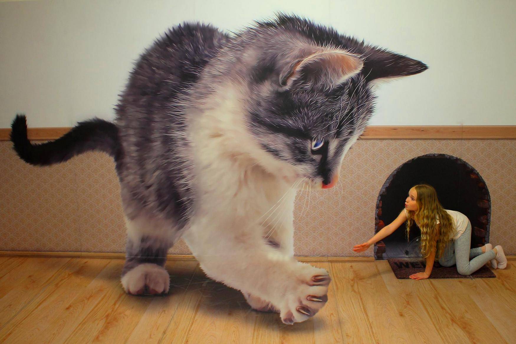 3D PicArt Museum photo 1