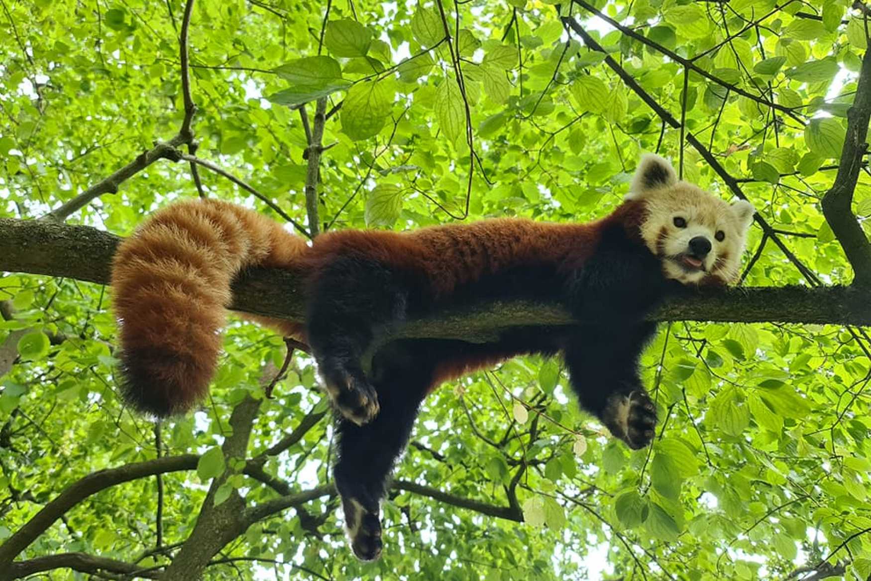 Aachener Tierpark Euregiozoo