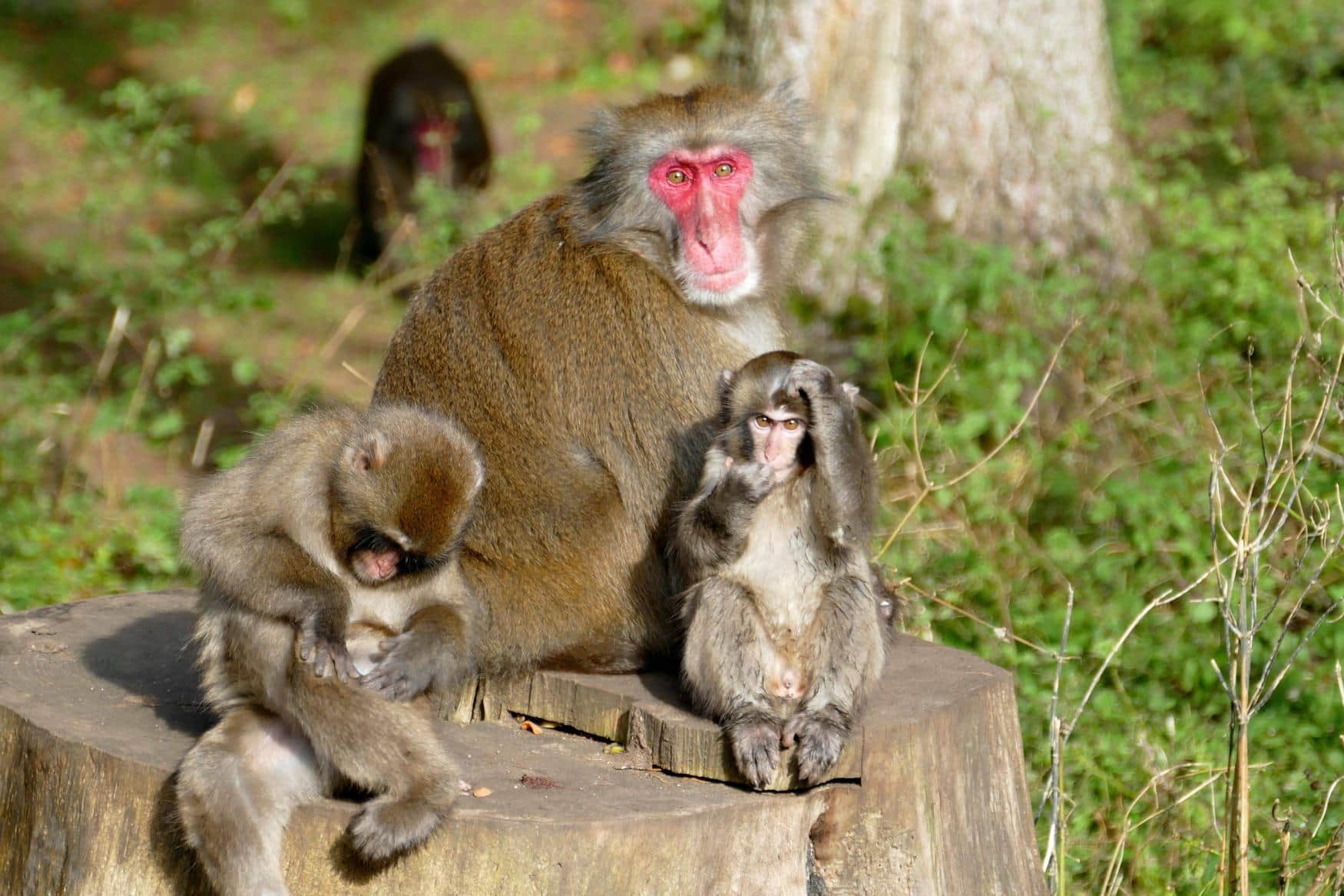 Vogelpark Turnersee photo 1
