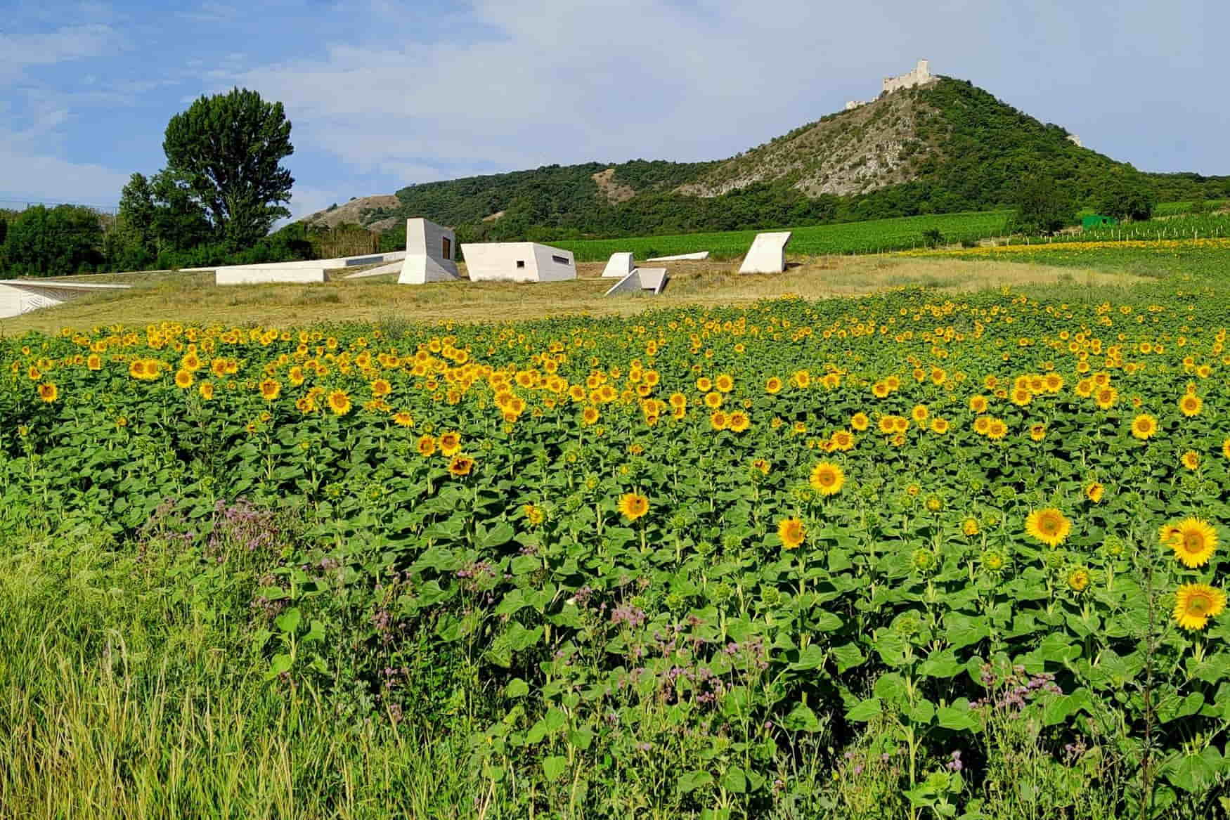 Archeopark Pavlov photo 1