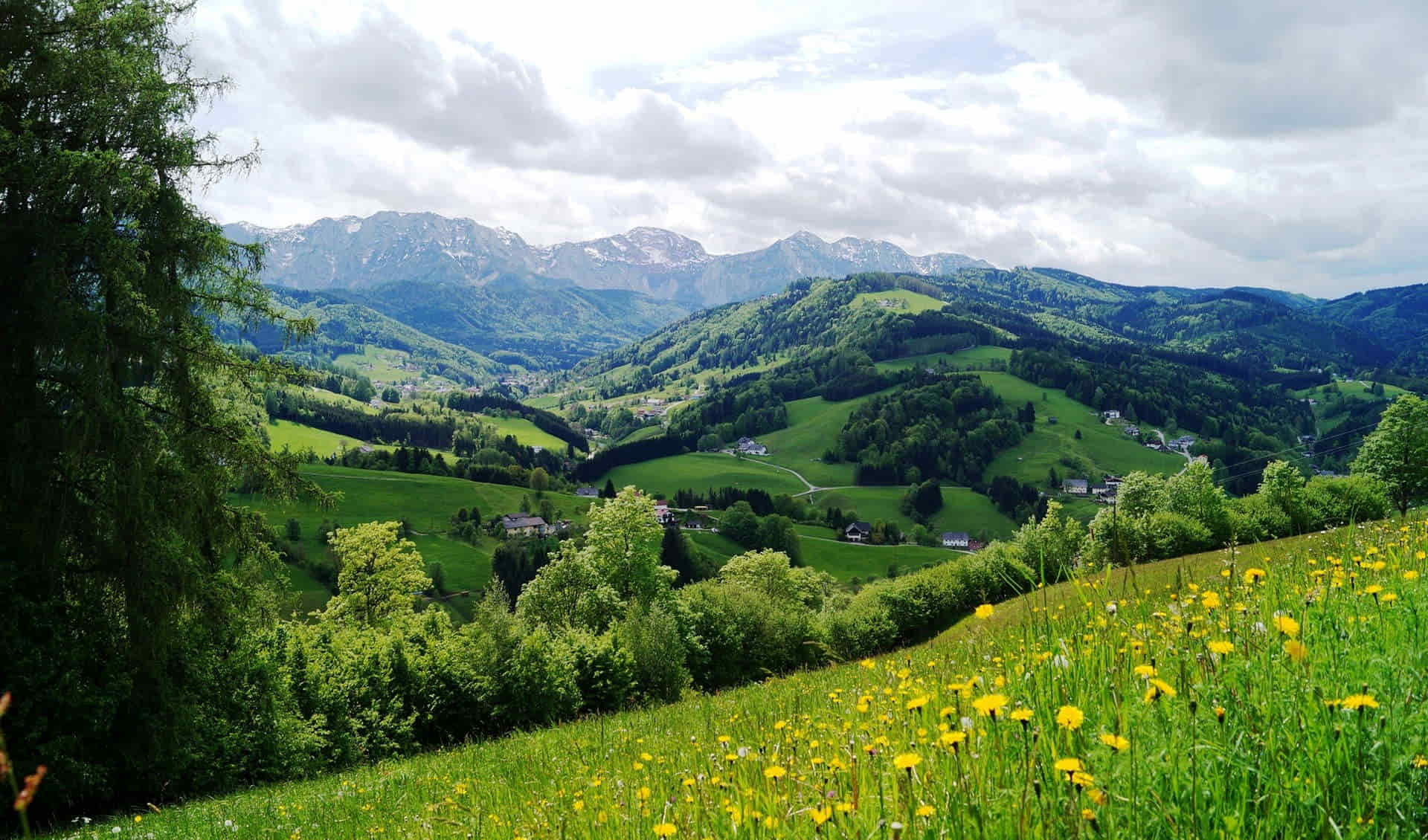 Attersee-Traunsee Nature Park
