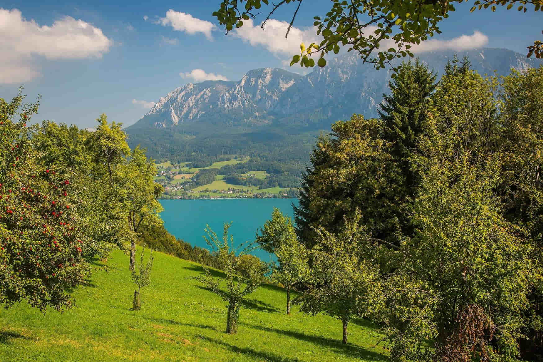 Attersee-Traunsee Nature Park photo 1