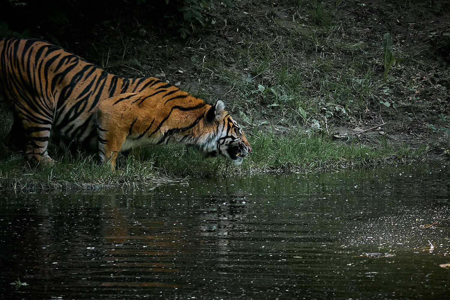 Augsburg Zoo photo 1