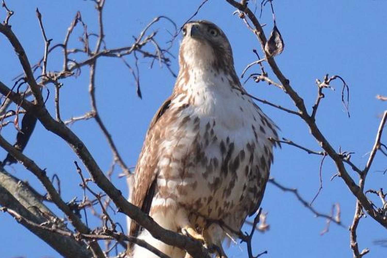 WNC Nature Center and Wildlife Park photo 1