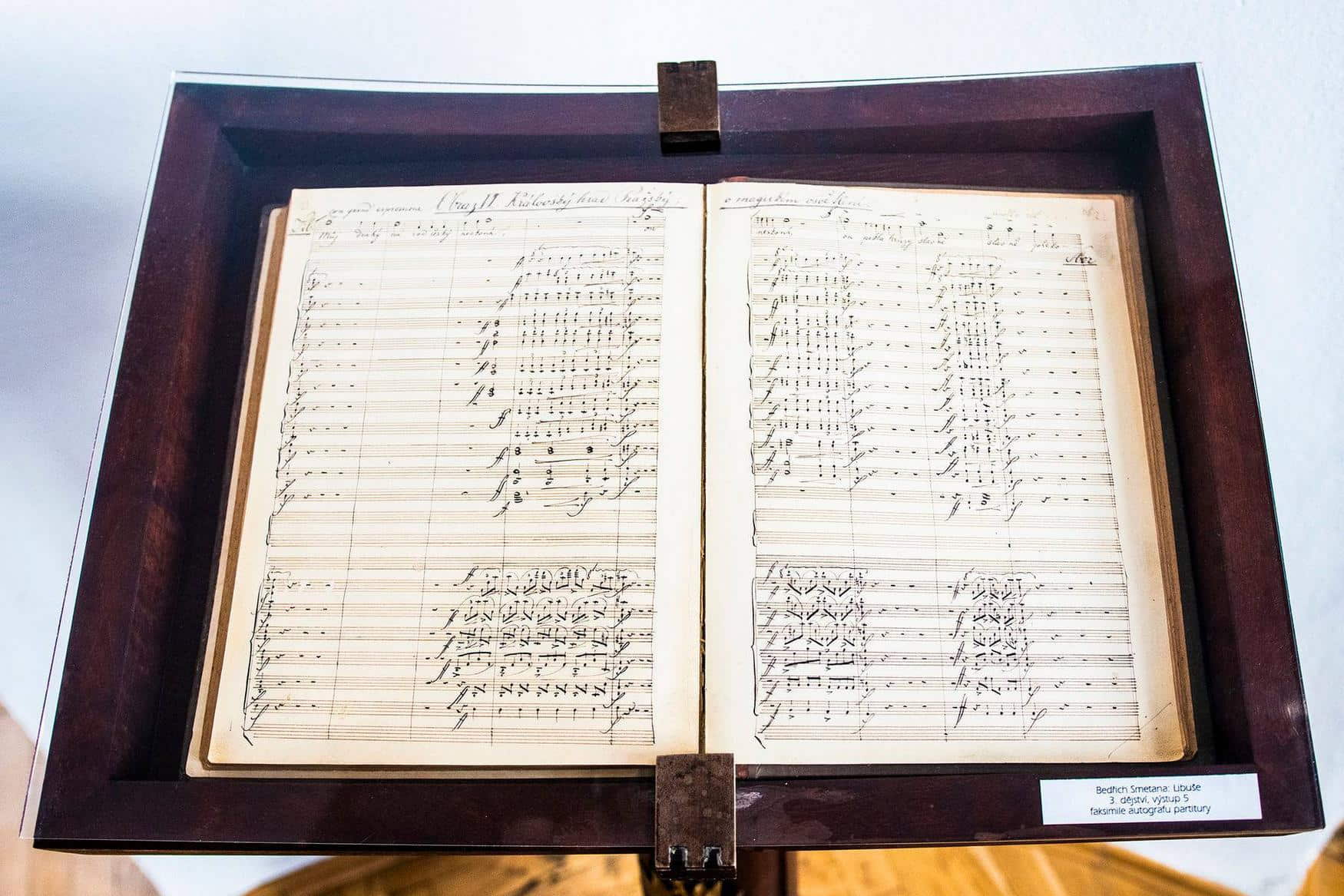 Bedrich Smetana Museum photo 1