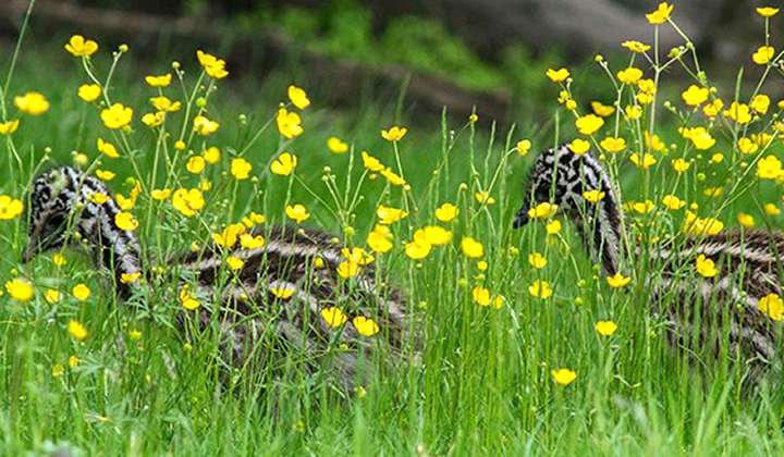 Wildpark Schorfheide photo 1