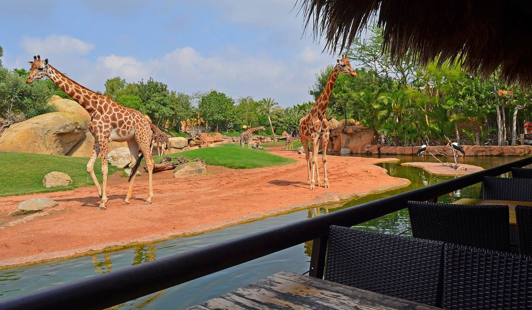 Turia Gardens photo 1