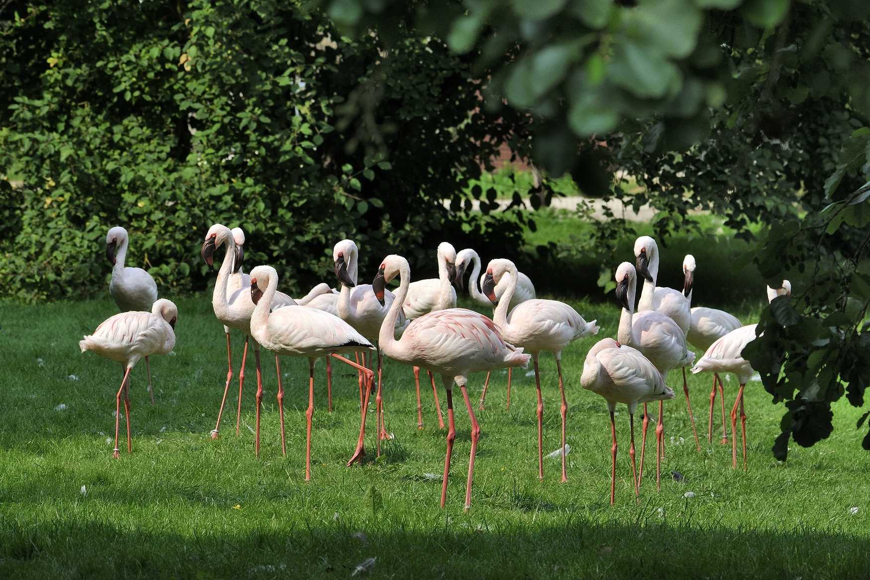 Bird Park Niendorf photo 1