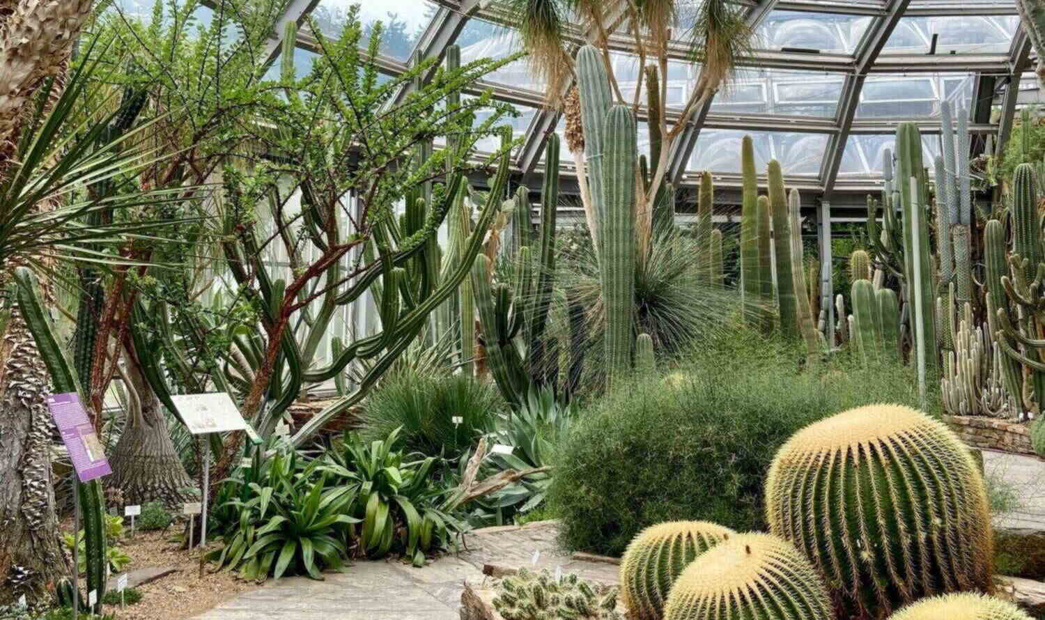 Botanical Garden of Berlin