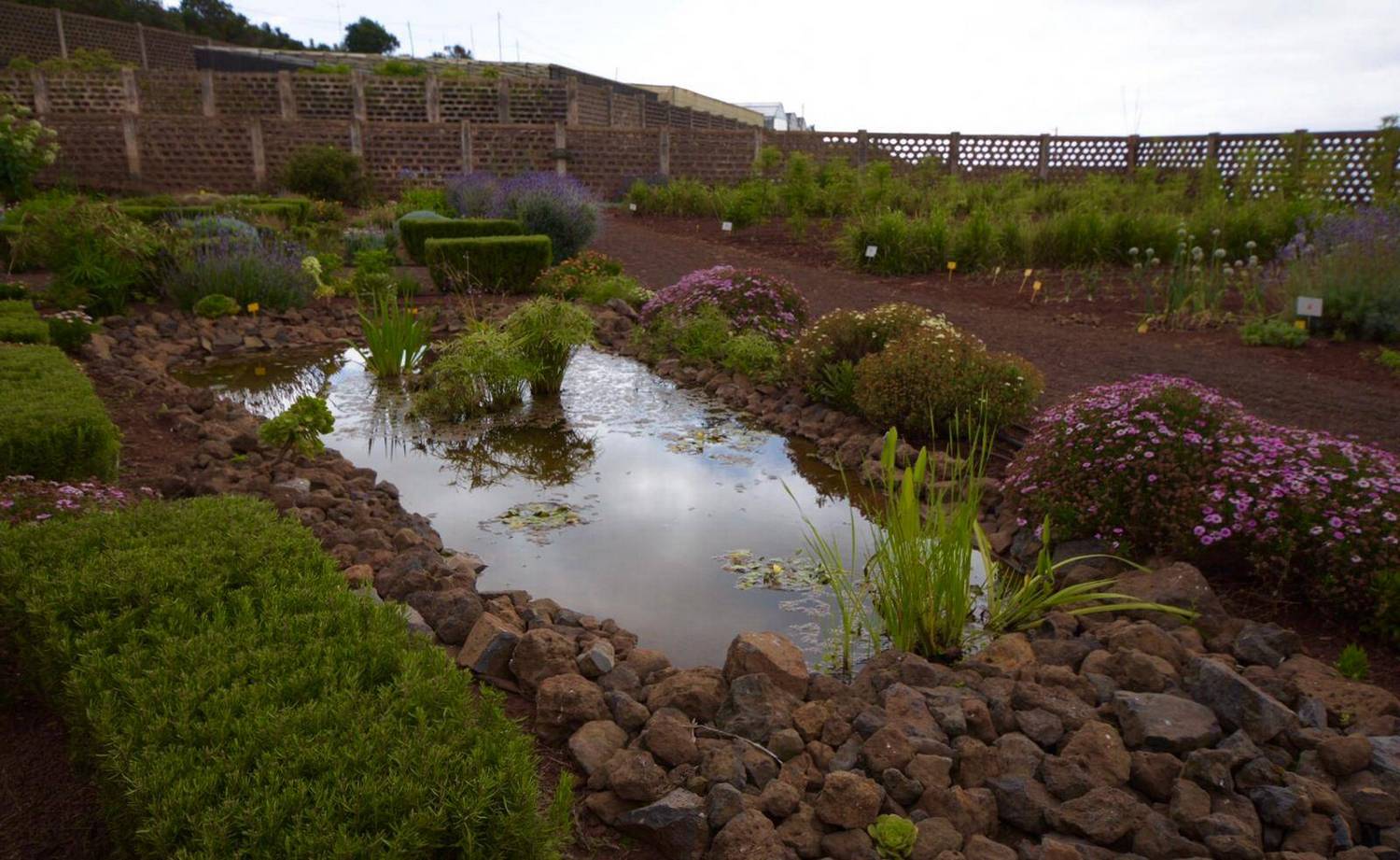 Botanical Garden Puerto de La Cruz