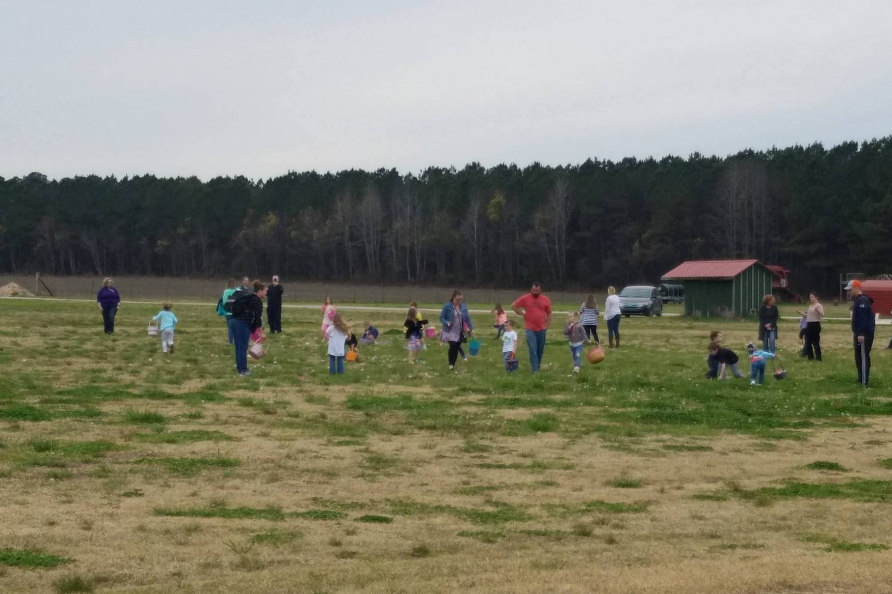 Rural Hill Nature Preserve photo 1