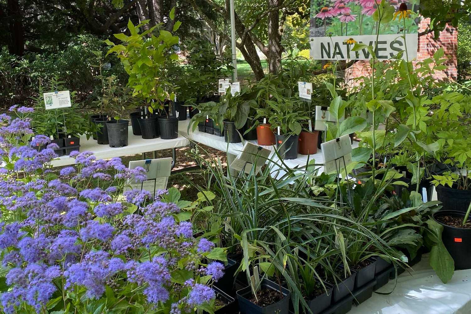 Bullington Gardens photo 1