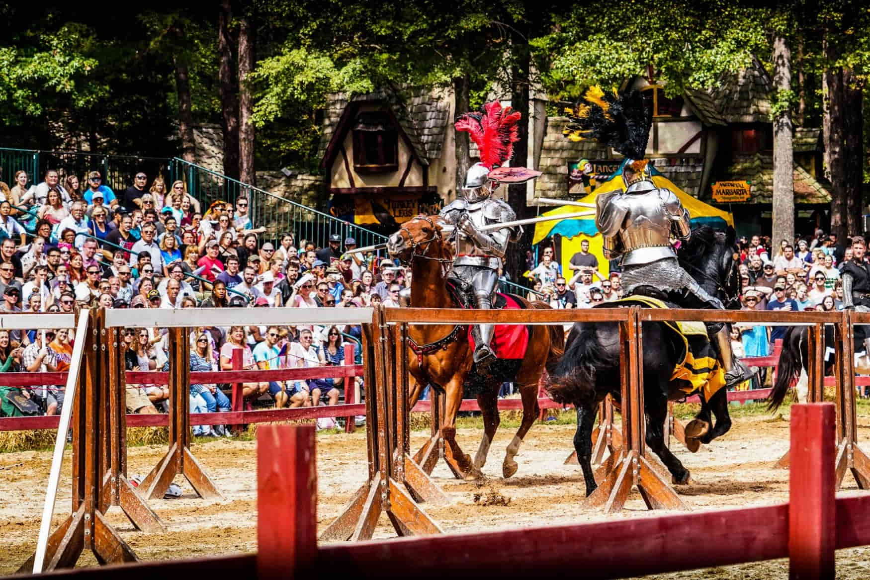 Carolina Renaissance Festival photo 1