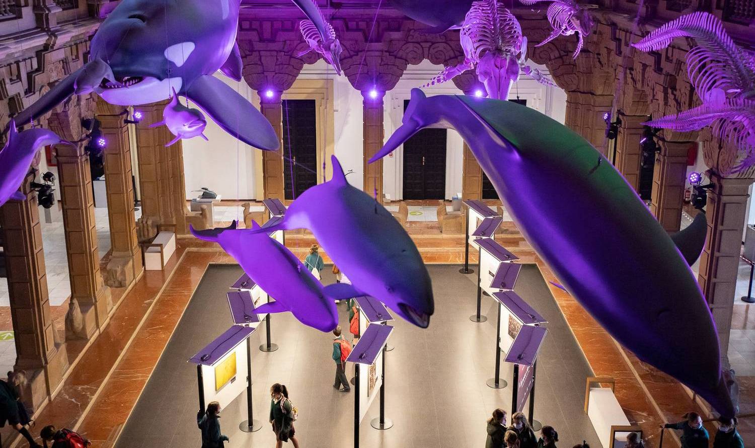 Casa de la Ciencia - Science Museum