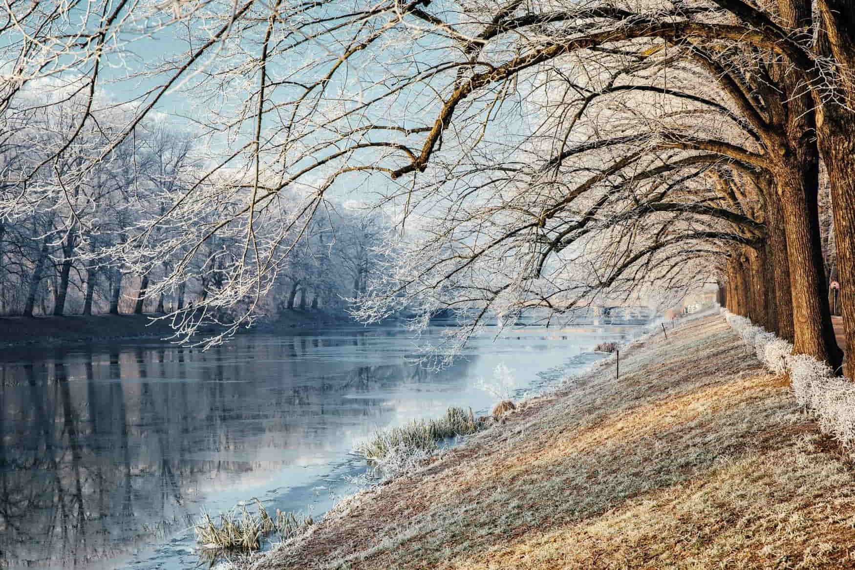 Waldseilpark Dresden-Buhlau photo 1