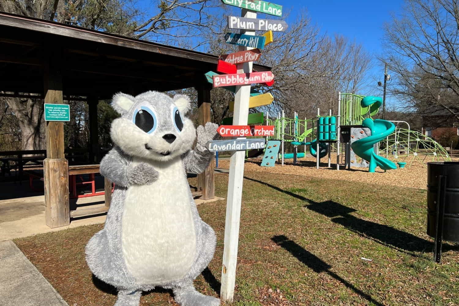 Crest Street Park photo 1