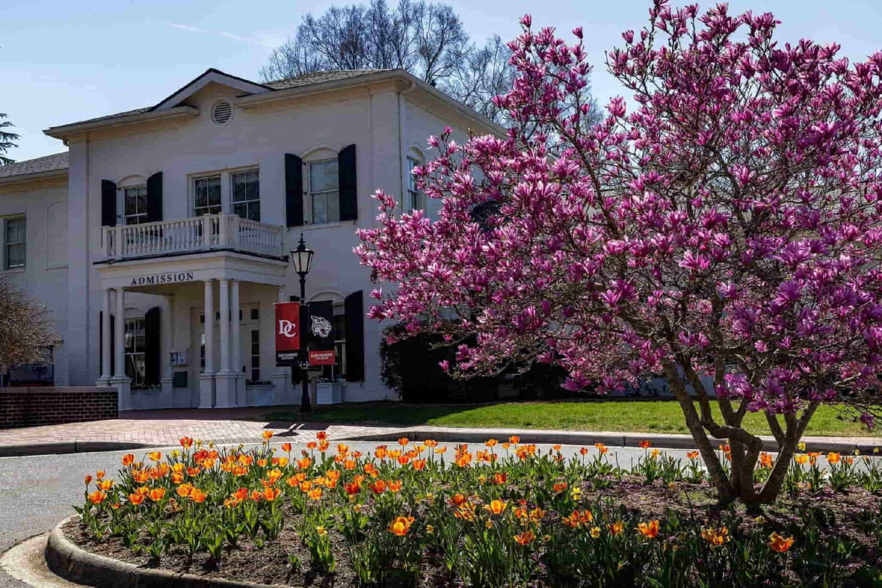 Davidson College Arboretum photo 1