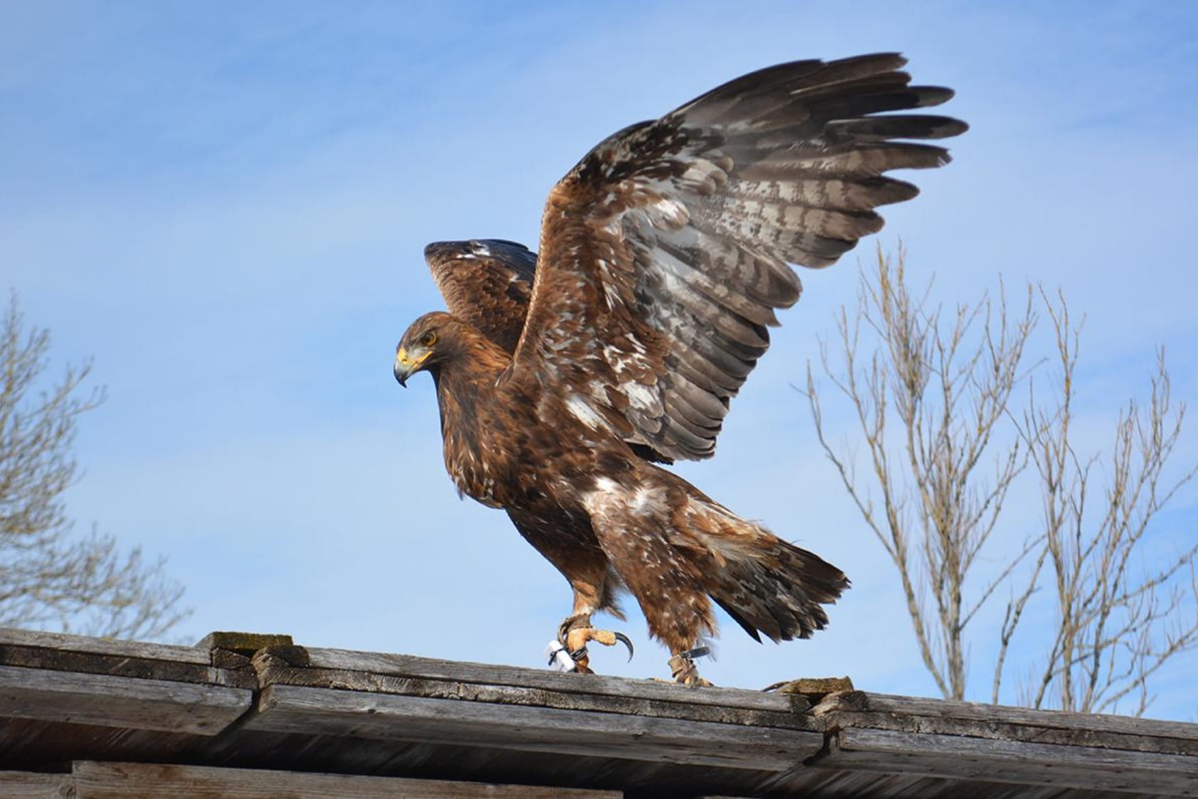 Olching Bird Park photo 1