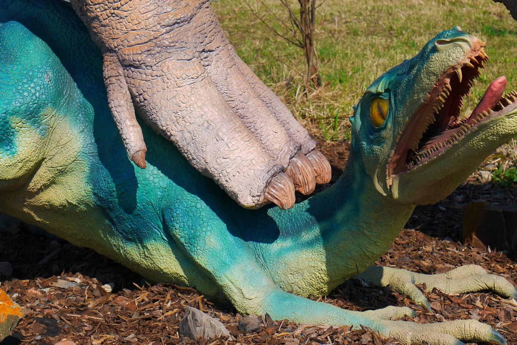 Dinopark Ostrava photo 1