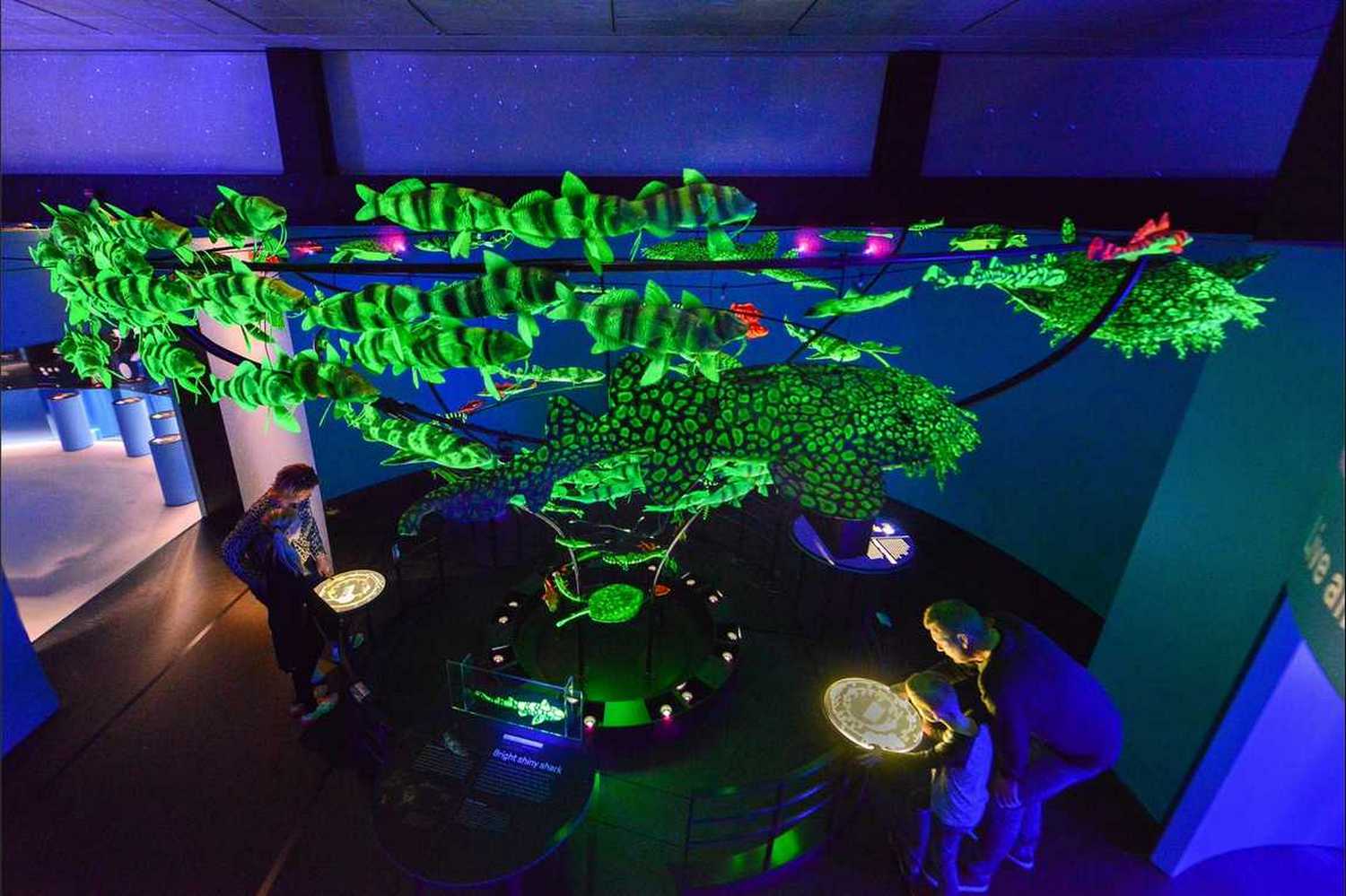 Discovery Place Nature photo 1