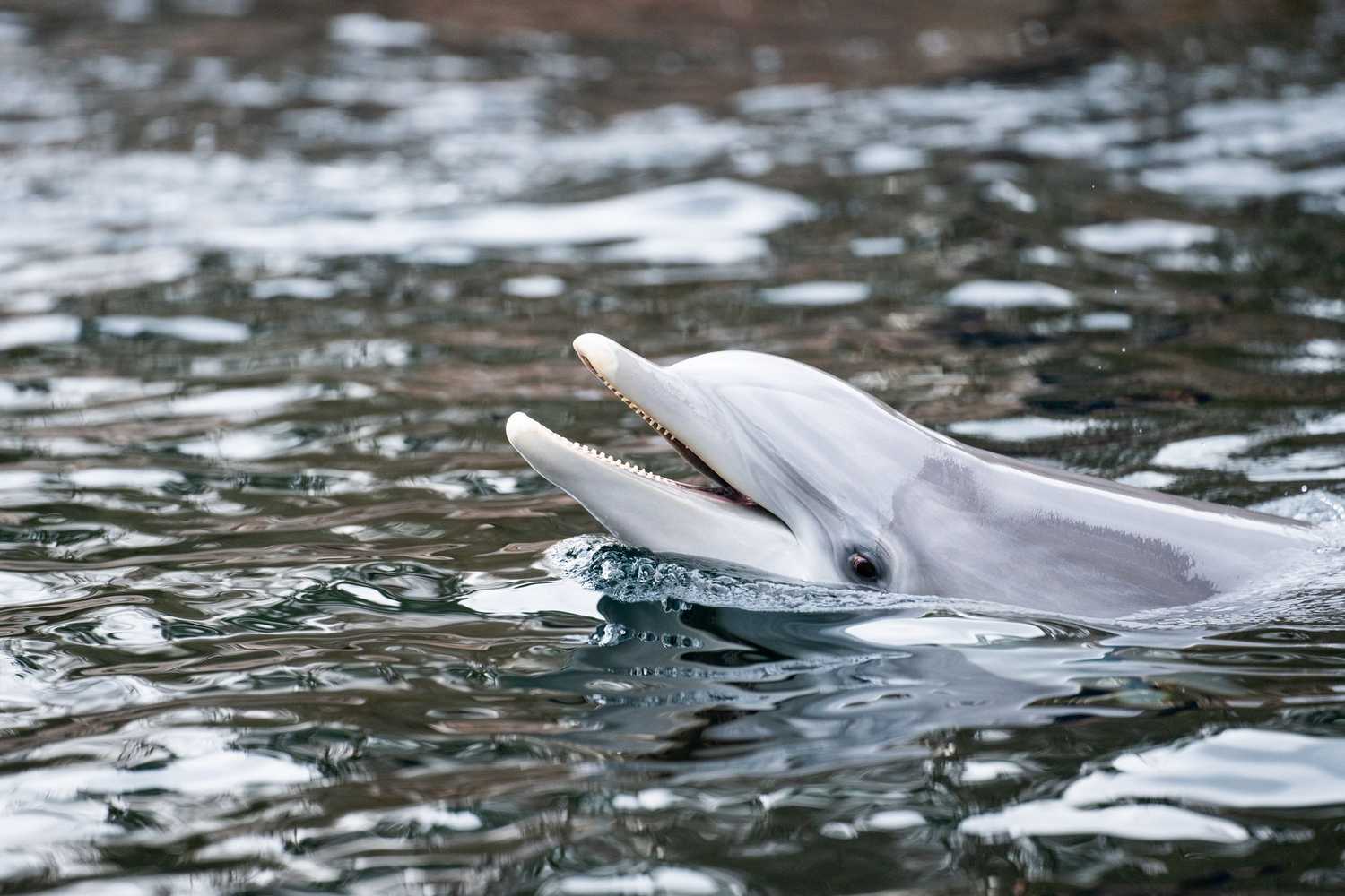 Duisburg Zoo photo 1