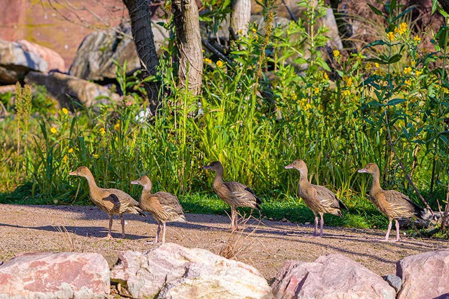 Duisburg Zoo photo 1