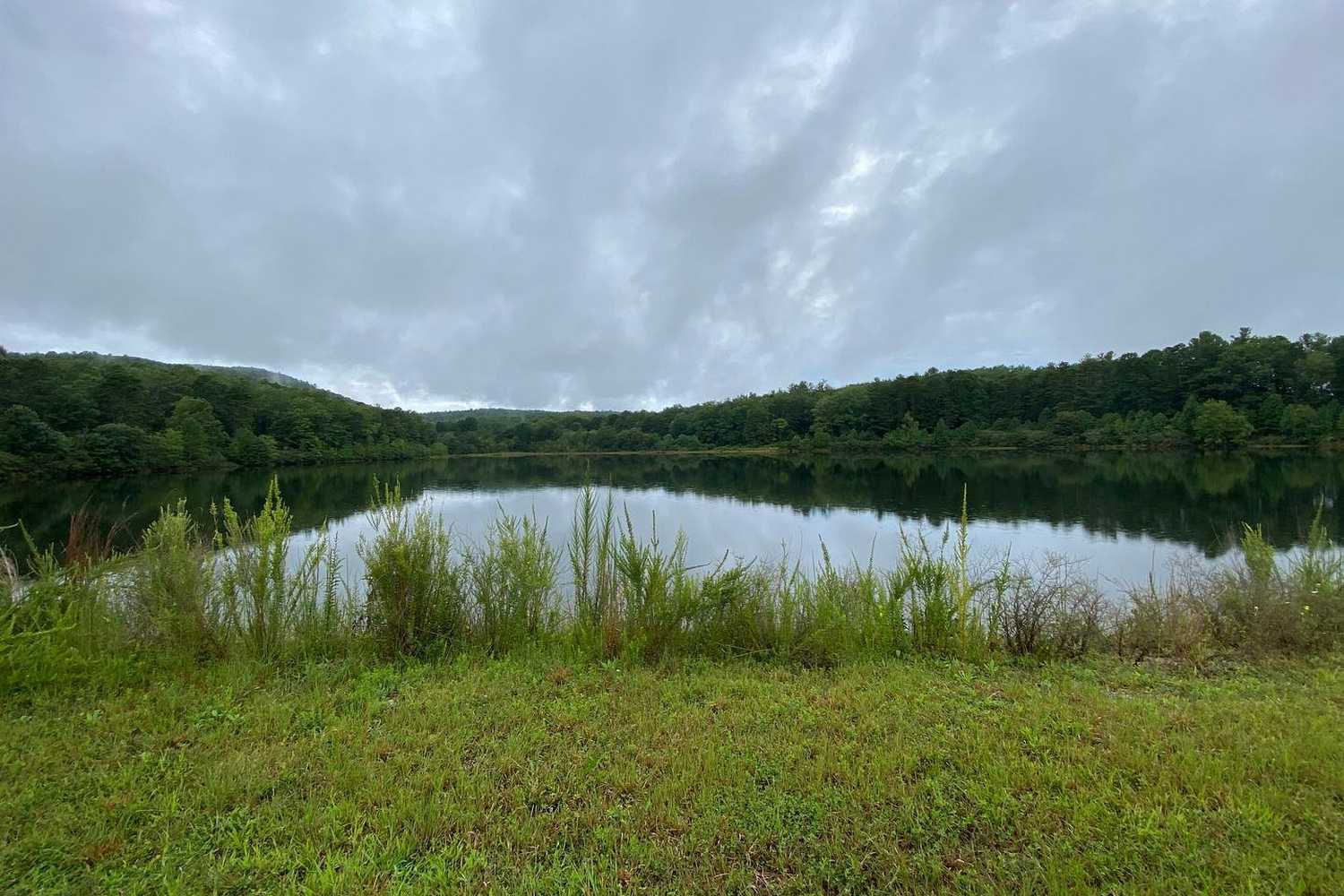 DuPont State Recreational Forest photo 1