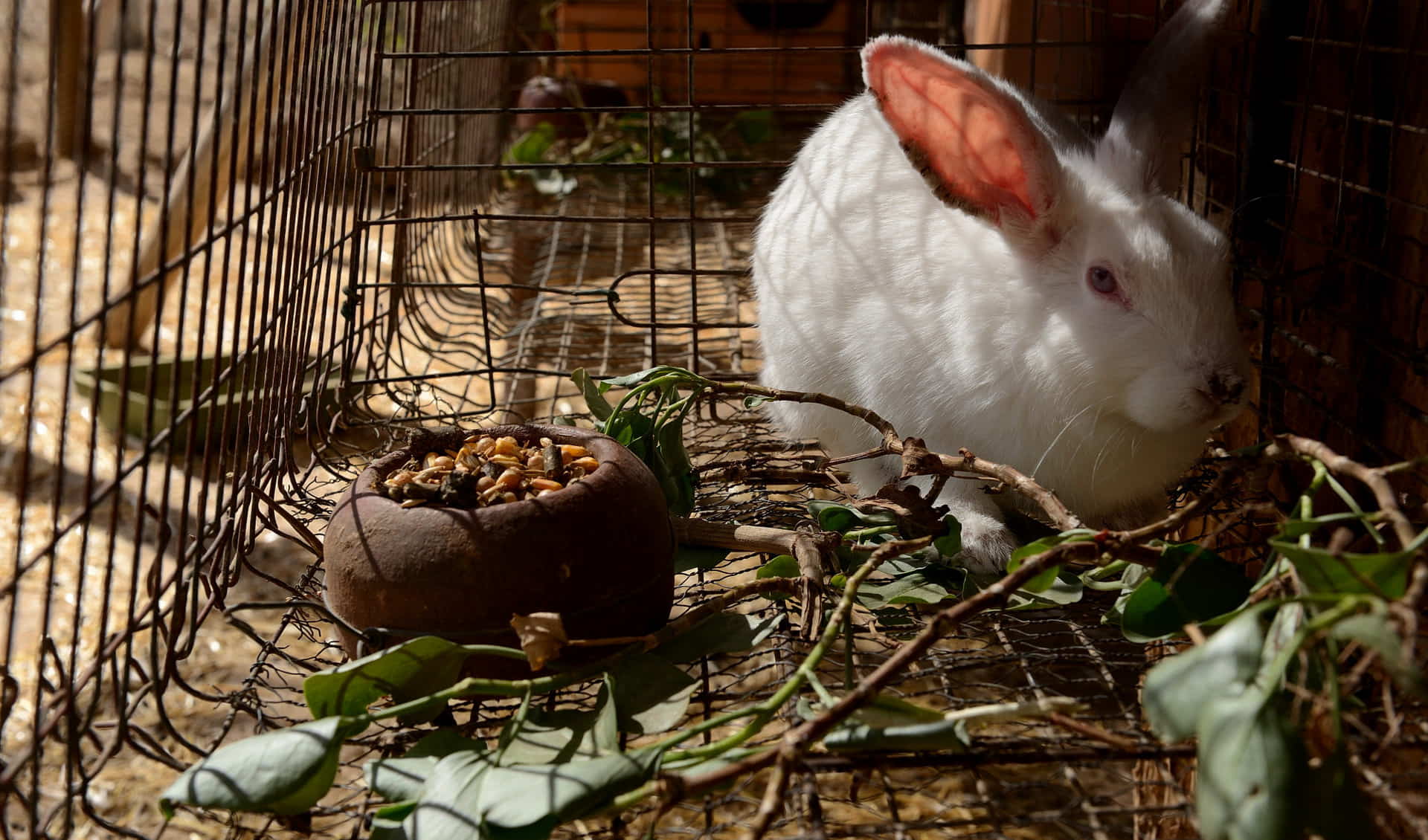 Ecological Farm Finca El Carretón
