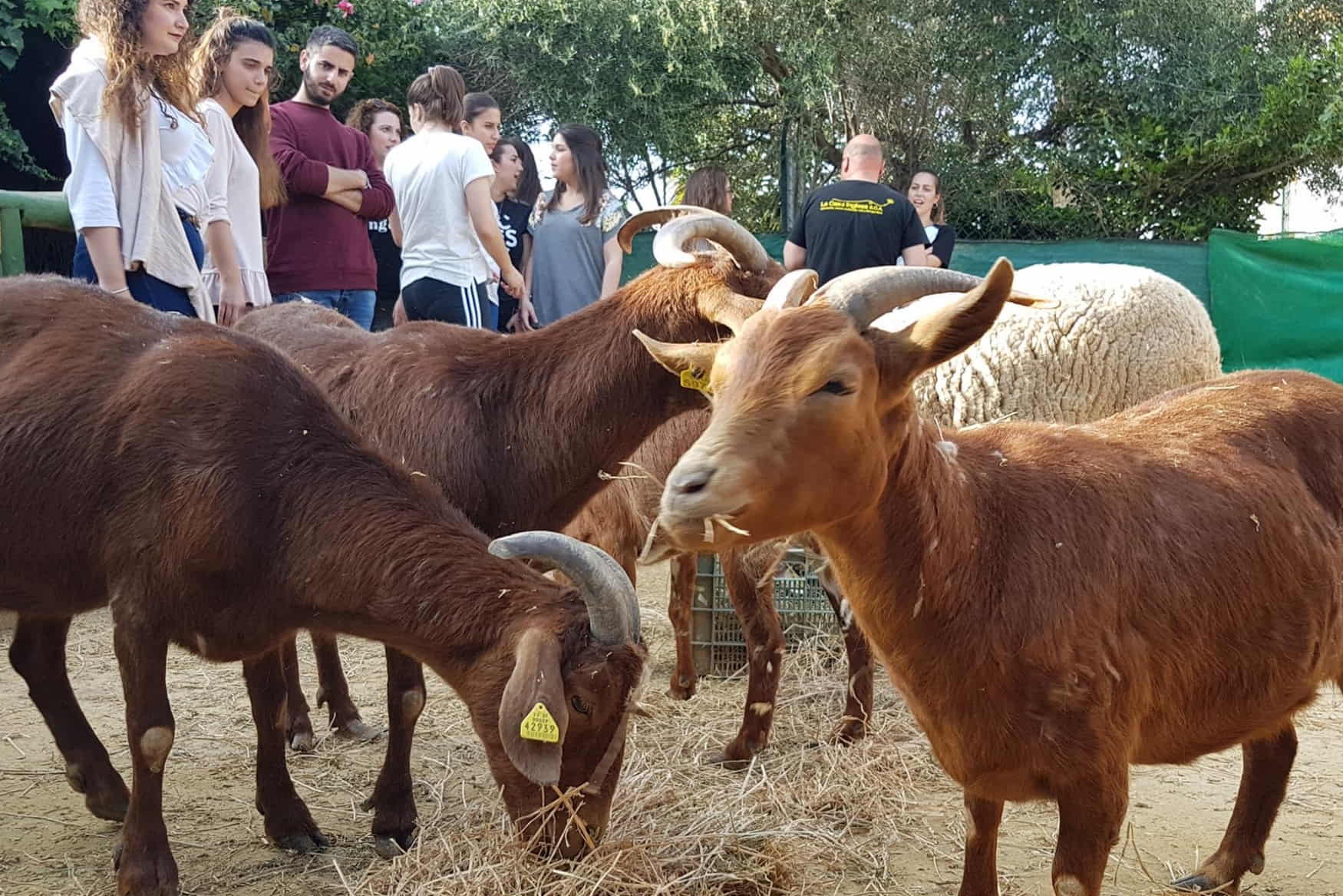 Farm School La Buhardilla photo 1