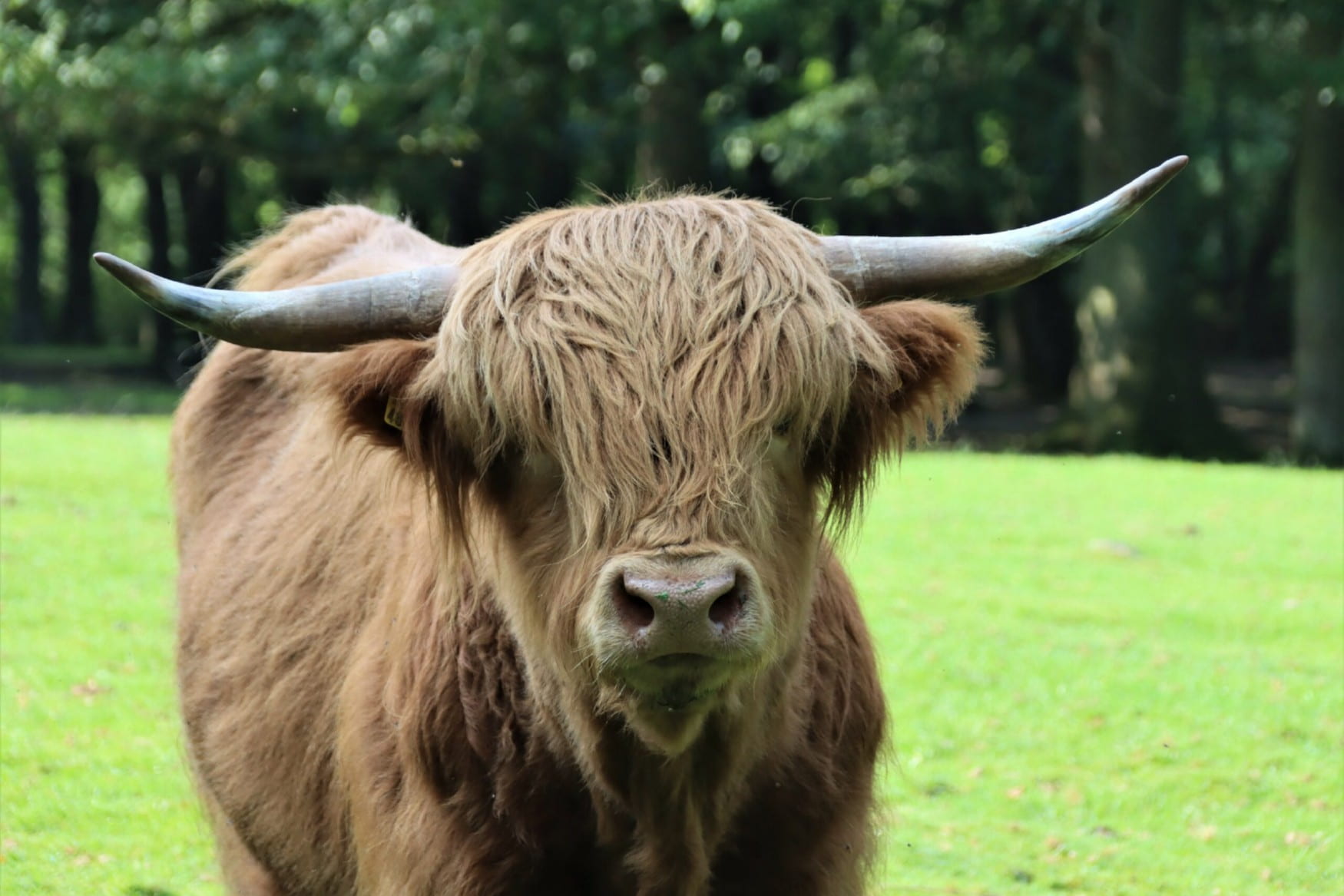 Wildpark Venusberg photo 1