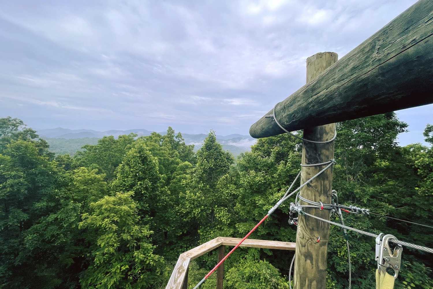 French Broad Adventures photo 1