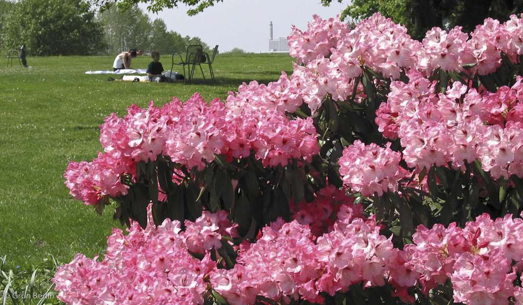 The Gardens of the World photo 1