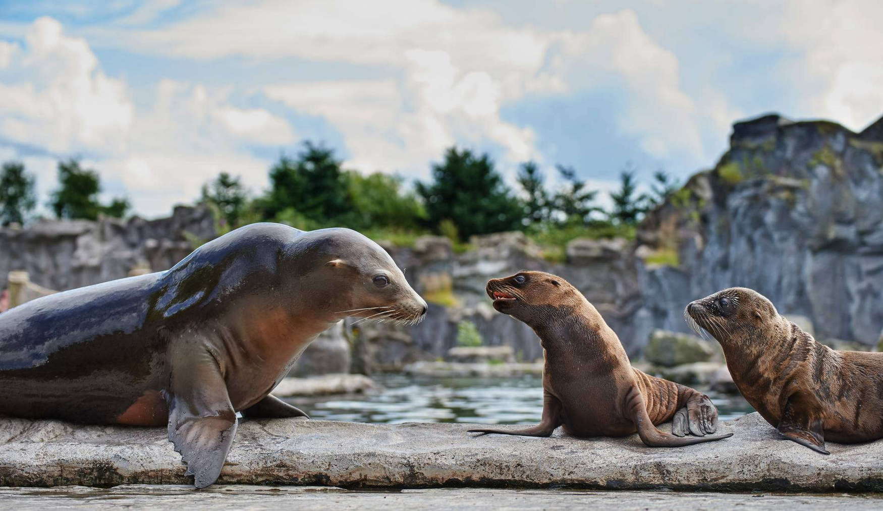 ZOOM Erlebniswelt Gelsenkirchen Zoo 