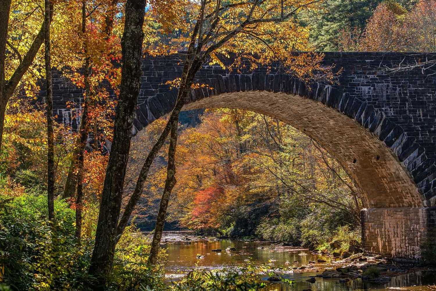 Grandfather Mountain photo 1