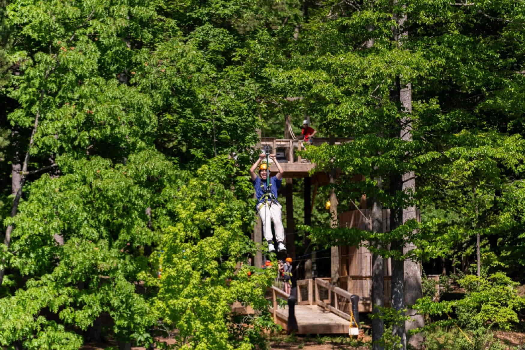 SEA LIFE Charlotte-Concord Aquarium photo 1