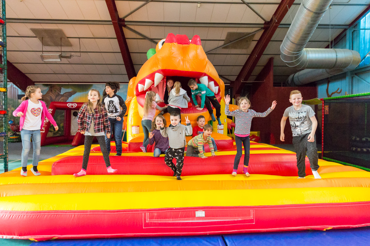 Halligalli Indoor Play Centre photo 1
