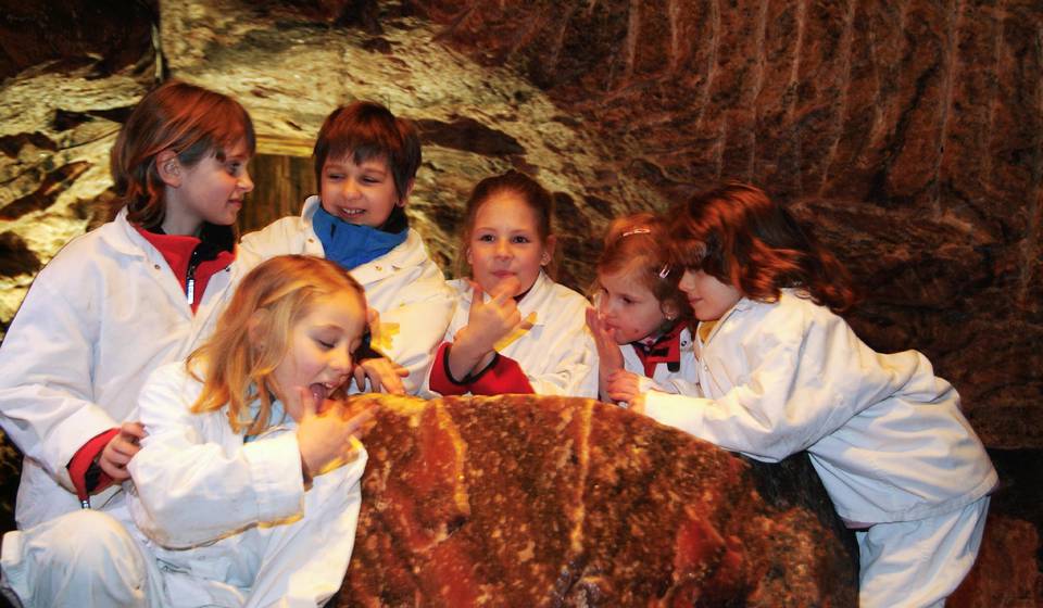 Hallstatt Salt Mine photo 1