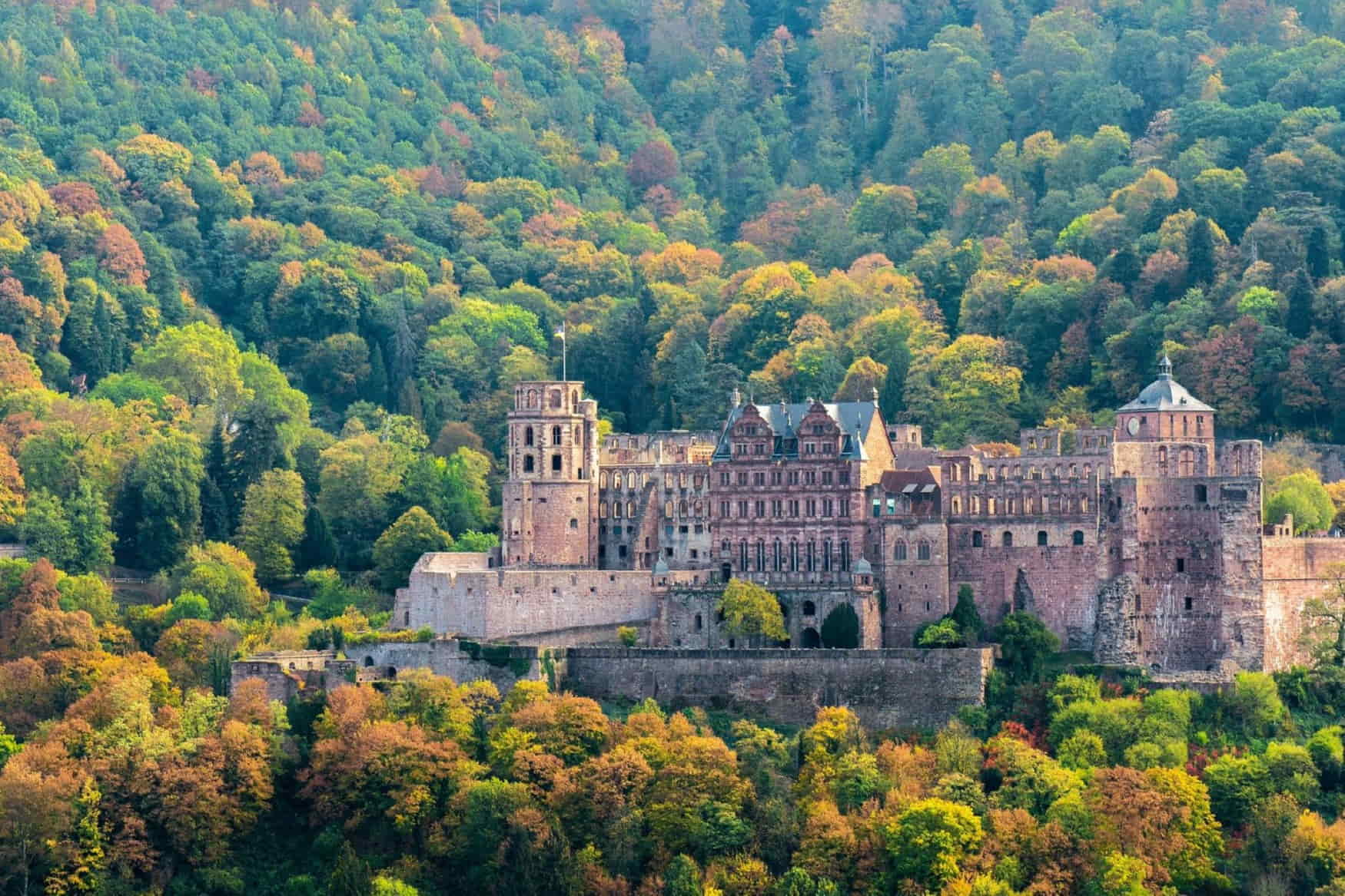 Heidelberg Castle photo 1