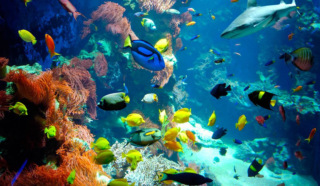 Welt der Gifte photo 1